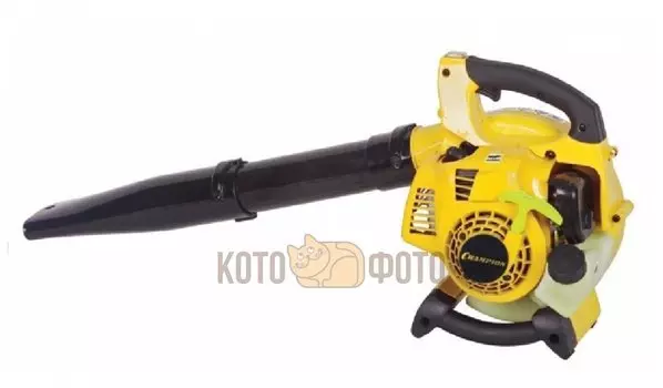 Воздуходувка Champion GB226