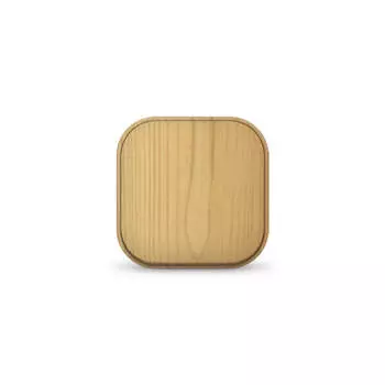 Выключатель 1-кл. 1п ОП 10А IP20 сосна IONICH 1434