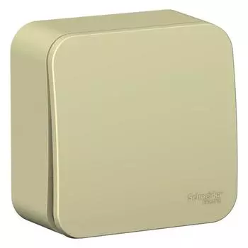 Выключатель 1-кл. ОП Blanca 10А IP20 (сх. 1) 250В с изолир. пластиной беж. SchE BLNVA101017