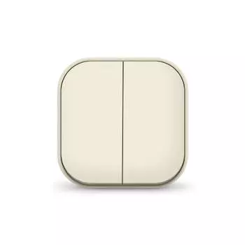 Выключатель 2-кл. 1п ОП 10А IP20 сл. кость IONICH 1425