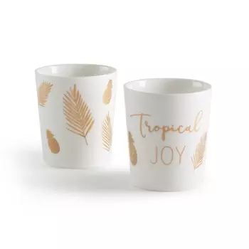 2 чашки в коробке REZIAL