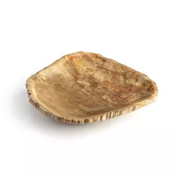 Чаша из окаменелого дерева Speusippe