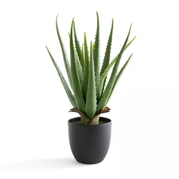 Искусственное LA REDOUTE INTERIEURS