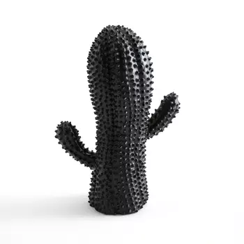 Кактус, AGAVADO