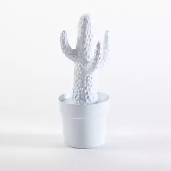 Кактус из металла, Aneko