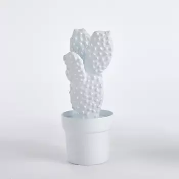 Кактус из металла, Aneko