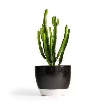 Кашпо La Redoute