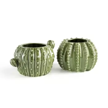 Комплект из 2 кашпо кактус Bangor
