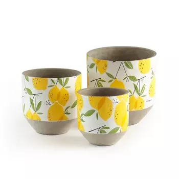 Комплект из 3 кашпо с рисунком лимон Zestie