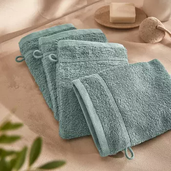 Комплект из 4 банных рукавичек LaRedoute