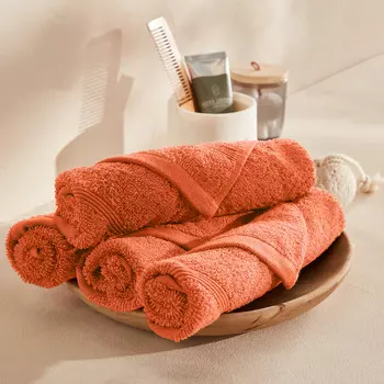 Комплект из 4 полотенец для LaRedoute