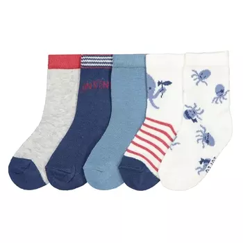 Комплект из 5 пар носков, размеры 15/18-23/26