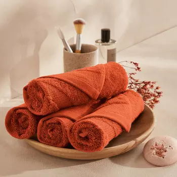 Комплект из четырех полотенец для LaRedoute