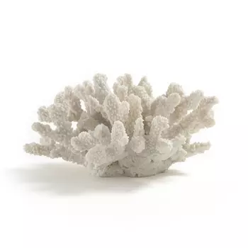 Коралл декоративный белого цвета Millepora