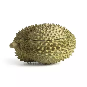Коробка, большая модель, Durian