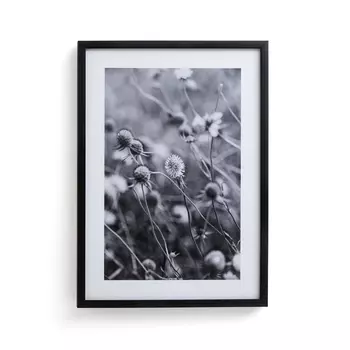 Постер LaRedoute