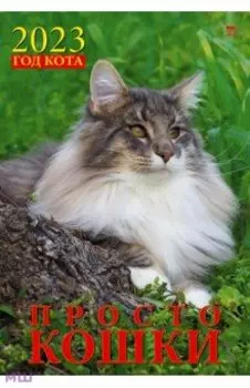 2023 Календарь Год кота. Просто кошки
