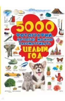 5000 фотографий, которые можно рассматривать целый год