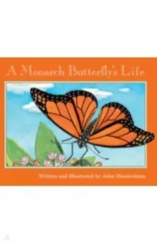 A Monarch Butterfly's Life