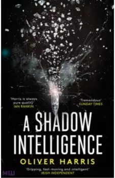 A Shadow Intelligence