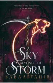 A Sky Beyond the Storm