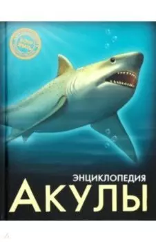 Акулы