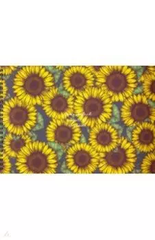 Альбом для рисования 40 листов, спираль "Beautiful" желтый (N1958)