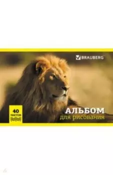 Альбом для рисования Дикие животные, А4, 40 листов, в ассортименте