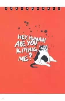 Альбом для рисования Hey hum. Кот белый, 45 листов, А5