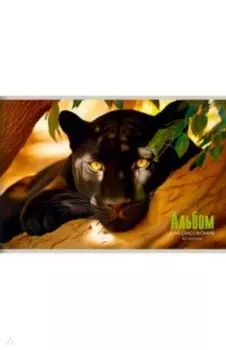 Альбом для рисования Пантера, А4, 40 листов