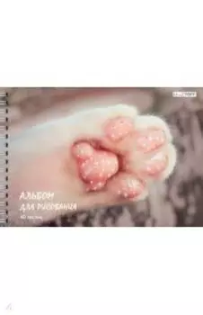 Альбом для рисования Пушистая лапка, А4, 40 листов