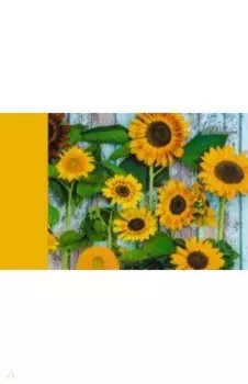 Альбом для рисования "Солнечные цветы" (40 листов, А4) (А401888)