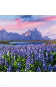 Алмазная мозаика Лавандовое поле, 30х30, без подрамника