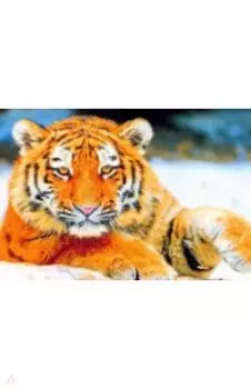 Алмазная мозаика Молодой тигр в снегу