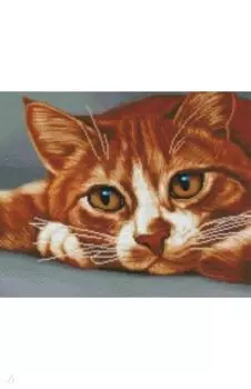 Алмазная мозаика Рыжик