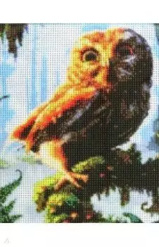 Алмазная мозаика Сова