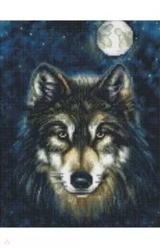 Алмазная мозаика Волк