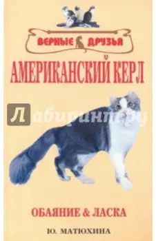 Американский керл. Обаяние и ласка