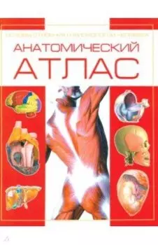 Анатомический атлас. Основы строения и физиологии человека