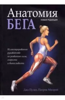 Анатомия бега