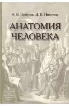 Анатомия человека