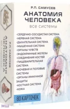 Анатомия человека. 80 карточек. Все системы