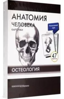 Анатомия человека. Остеология (47 карточек)