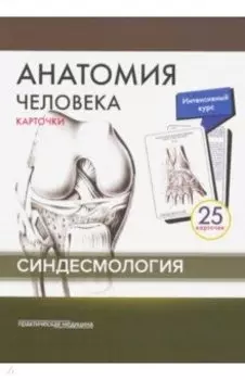 Анатомия человека. Синдесмология (25 карточек)
