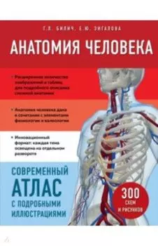 Анатомия человека. Современный атлас с подробными иллюстрациями