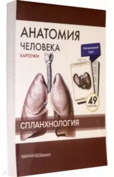 Анатомия человека. Спланхнология. Карточки (49 шт.)