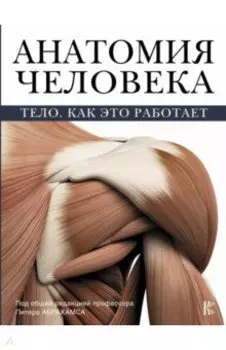 Анатомия человека. Тело. Как это работает