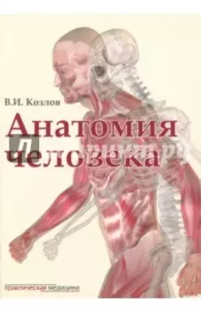 Анатомия человека. Учебник