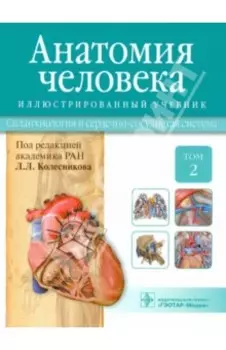 Анатомия человека. Учебник. В 3-х томах. Том 2. Спланхнология и сердечно-сосудистая система