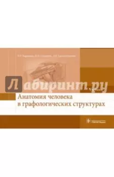 Анатомия человека в графологических структурах